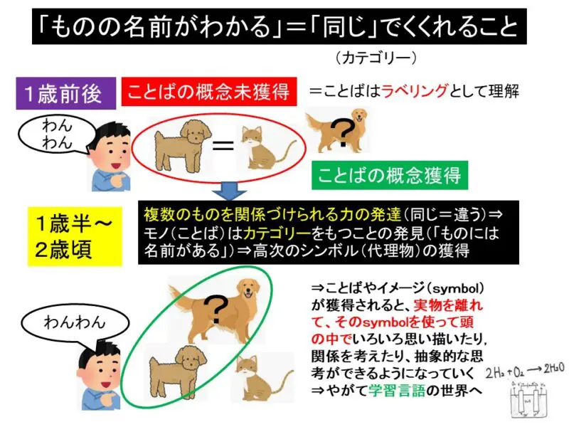 難聴児の認知・言語の発達（３）～初語表出から「ものには名前がある