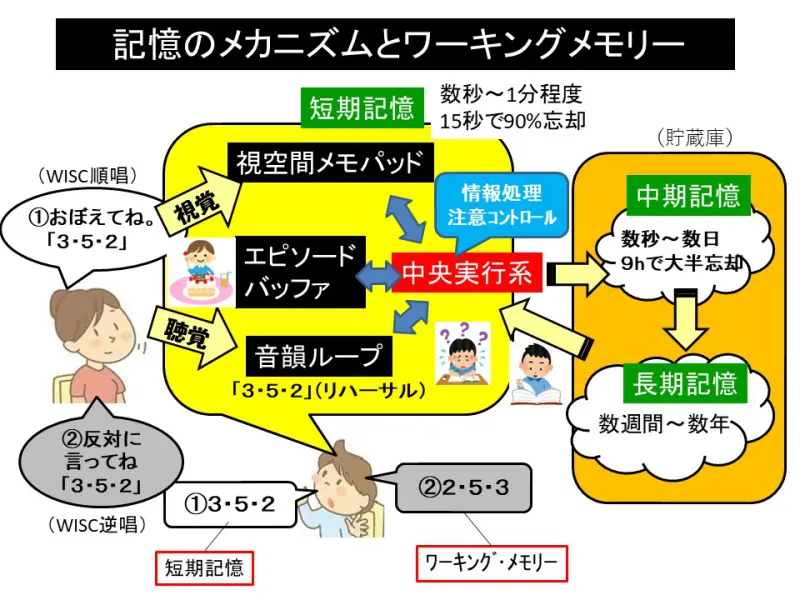 日本語苦手！～ワーキングメモリーが課題かも？ | 難聴児支援教材研究会